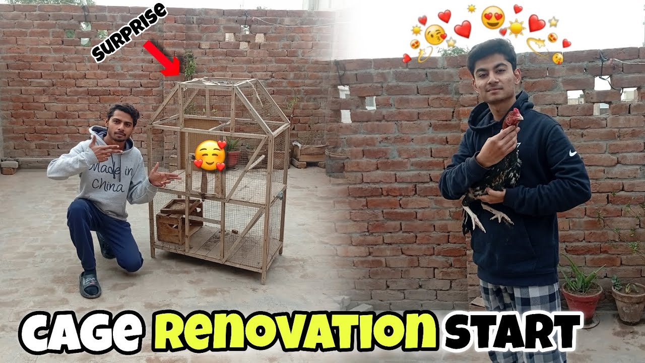AJ apne new cage ki renovation Ka Kam start krdiya 😀😀 