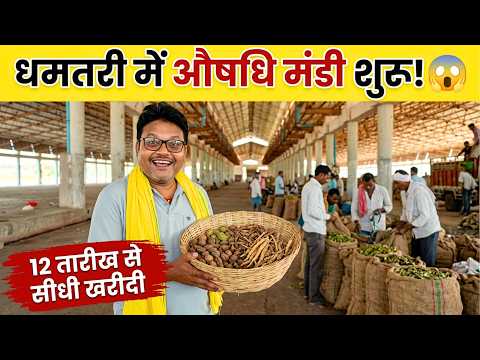 किसानों के लिए नई वन औषधि मंडी 🌿 धमतरी में क्या-क्या बिकेगा? | Dhamtari, Chhattisgarh