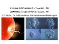 Chapitre 6-1 De la fécondation à la formation du blastocyste