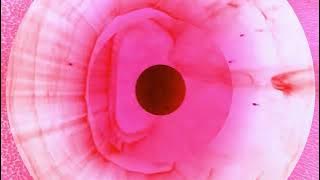 #HOUSE MUSIC MIX ~ BY DJ L.A. MILES (VOLUME FIVE)