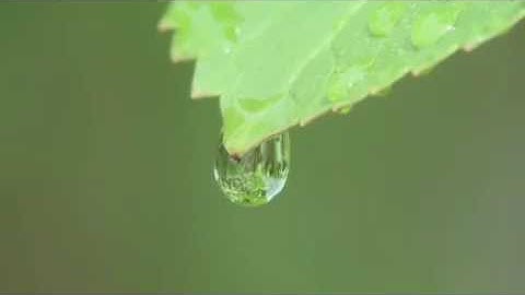 الانفاق في الخير - للقارئ معاذ سلطان