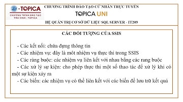 BÀI TẬP KỸ NĂNG IT209: Dịch vụ tích hợp SQL Server - SSIS