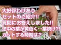 【多肉植物】大好評わけありセットのご紹介!!質問にお答えしました!!途中の葉が黄色くなった?…葉焼け?!カットする時期は？【succulent】トロピカルガーデン