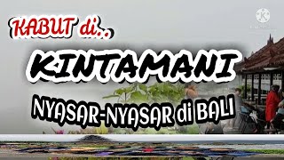 KABUT DI KINTAMANI NYASAR-NYASAR DI BALI
