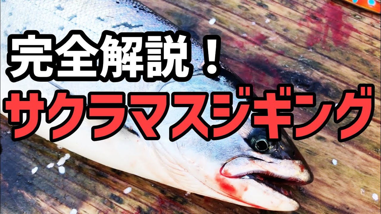 必見 ９分で解説 サクラマスジギング 太平洋編 釣果up間違いなし 積丹遊漁船 Atuy アトゥイ Youtube