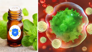 Top 12 Herbs to Destroy Viruses Fast and Boost Immune System
