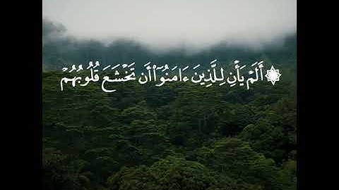 تلاوة قصيرة بصوت القارئ بندر بليلة