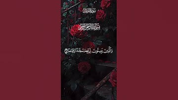 وعباد الرحمن الذين يمشون على الأرض هونا#سورة_الفرقان #قرآن #قرآن_كريم #راحة_نفسية #إلياس_الحجري