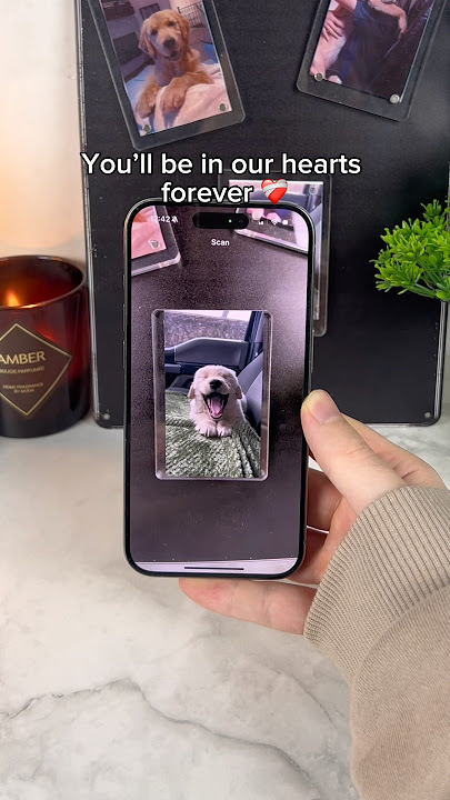 Our memories are eternal 💕🕊️