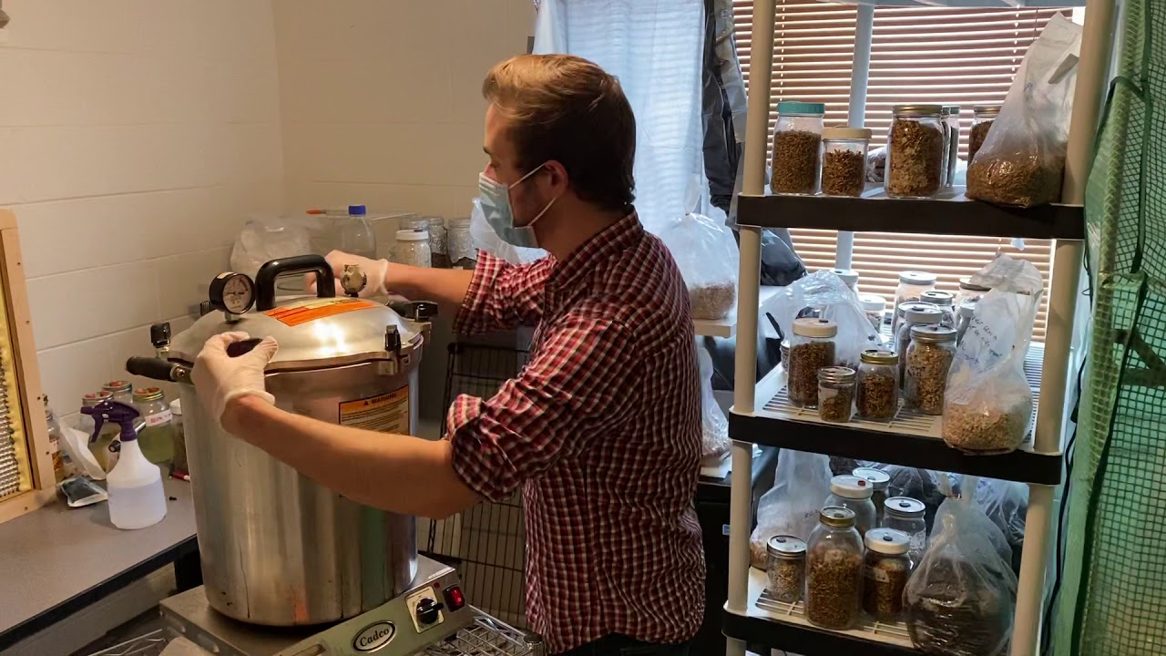 Grain Spawn Bag Procedure for Sealing After Sterilization YouTube