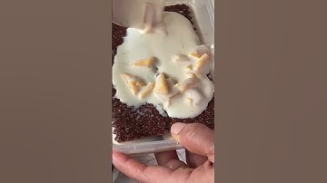 How to make mango float special ❤️