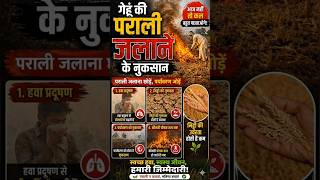 गेहूं की पराली जलाने के नुकसान 🚫 | किसान जरूर देखें | Pollution Alert ⚠️ #Shorts