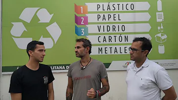 Qual é a diferença entre ecologistas e ambientalistas?