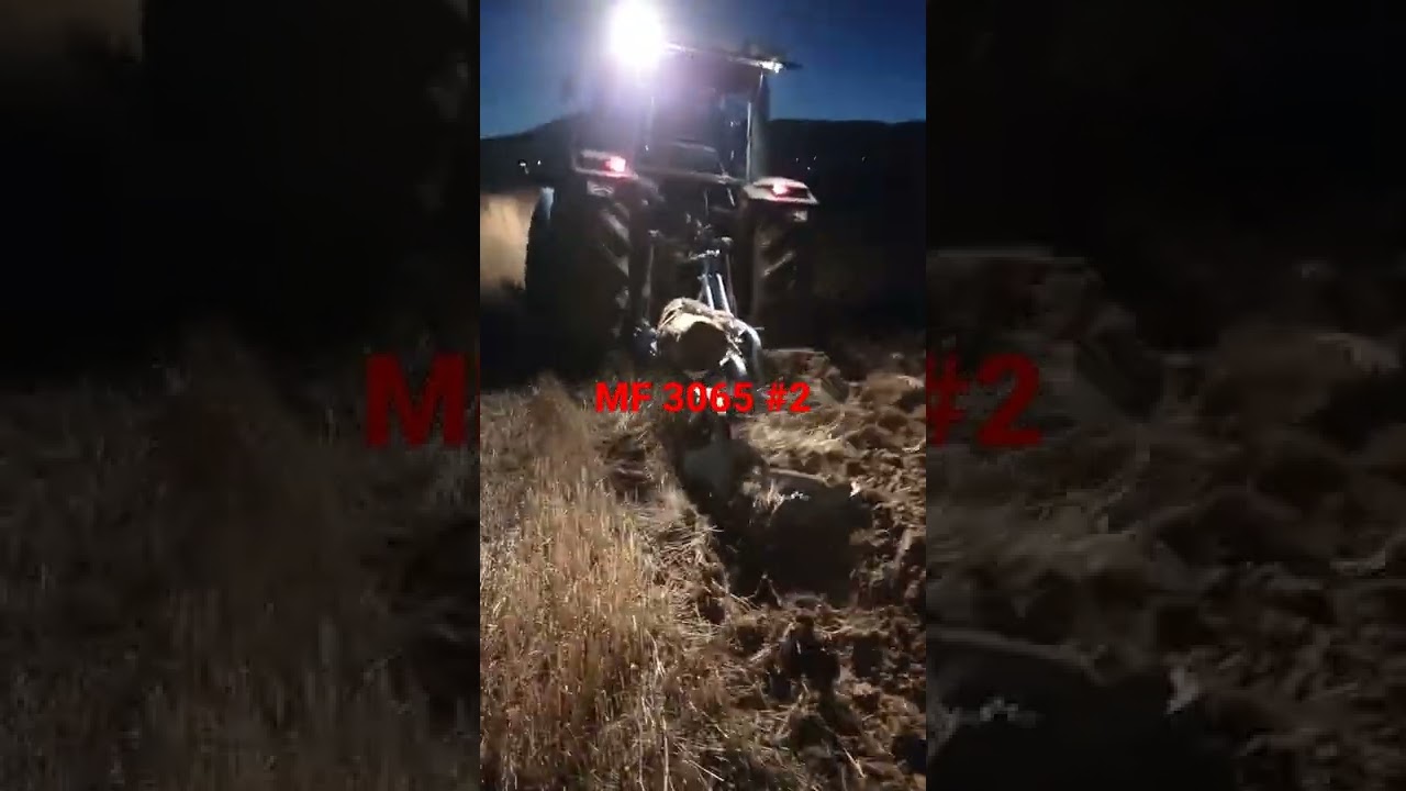 Massey 3065 #2 3brazde plug auf YouTube ansehen Massey 3065 #2 3brazde plug auf YouTube ansehen