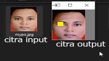 REGION Citra Input dari Foto