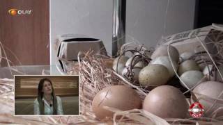 Download lagu İZMİR ALSANCAK GIDA CITY FARM İZMİR ALSANCAK GIDA CITY FARM