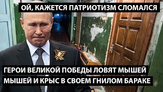 Герои великой победы ловят мышей и крыс в старом гнилом бараке... ОЙ, КАЖЕТСЯ ПАТРИОТИЗМ СЛОМАЛСЯ