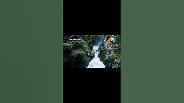 ما تيسر من سورة المؤمنون #القارئ #دويتو #اكسبلور #القرآن #راحة_نفسية #الشيخ# quran #تيك_توك #cat