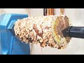 Woodturning - Mushroom Log to Goblet 【木工旋盤】キノコが生えた枝からグラス