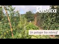 Un potager bio intensif