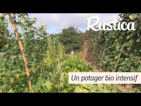 Vidéo: Jardinage biointensif - Comment faire pousser un jardin biointensif