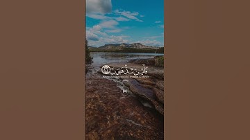 Rizgar bin Ahmad بصوت القارئ رزكار احمد سورة التكوير