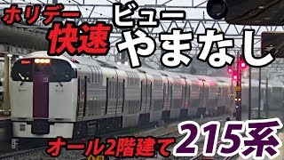 【グリーン車】オール２階建て ホリデー快速ビューやまなし号 小淵沢→新宿乗車記