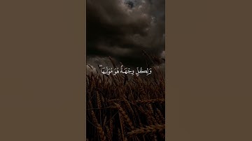 القرآن الكريم سورة البقرة الشيخ ياسر الدوسري #quran #اكتب شي تؤجر عليه