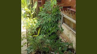 Masih Ada Lawan