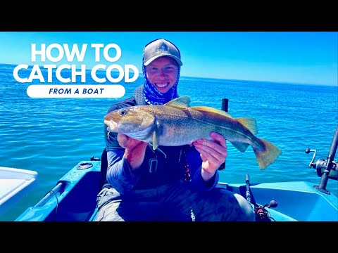 How To Catch COD From A Boat 