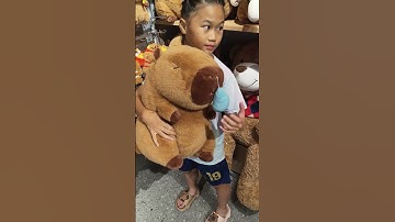 This capybara is sufferring a runny nose  #cute #plushtoys