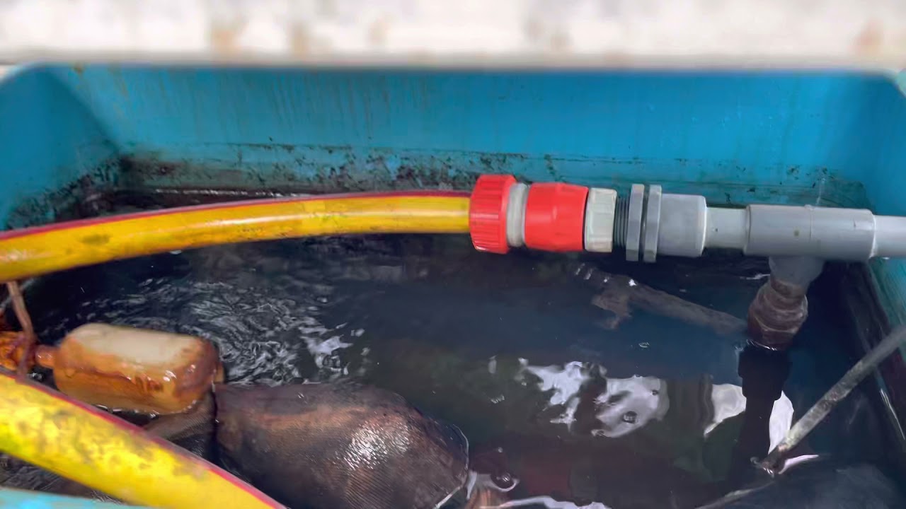 الزراعة العضوية بنظام الزراعة المائية