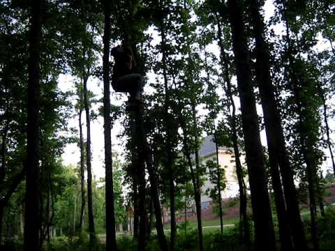 Chris Schaeffer Tree Parachute