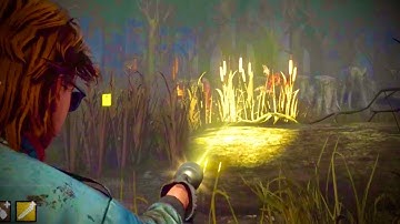 When You Forget Lightborn…