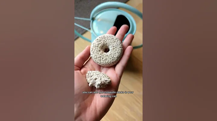 Fungus gnats & how to deal with them