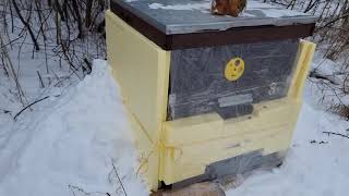 Подготовка пчел к зиме. Закрытие сезона 2023
