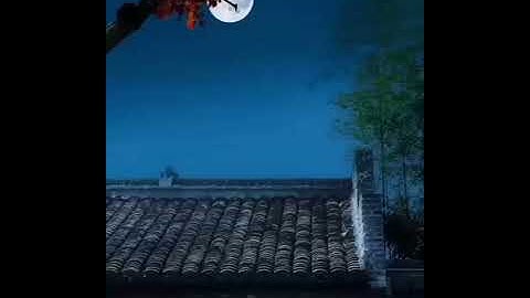 القارئ عبد الرحمن مسعد 🌕🌿