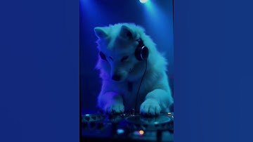 Thumbnail of EDM Mashup - Colors of Our Love - #edm #mashup #remix #remix2025 #edmmashup