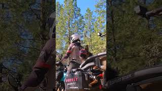 This Is How A Big Dog Rides On A Motorcycle