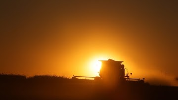 Ariel Ortiz-Bobea explores links between weather and agricultural productivity