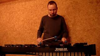 Mission Impossible Cover #missionimpossible #marimba #xylophone