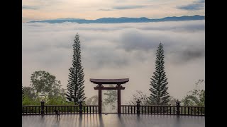 Nghi Thức NIKAYA - Đảnh Lễ Pháp Bảo & Tọa Thiền