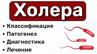 Холера микробиология: строение, патогенез, лечение