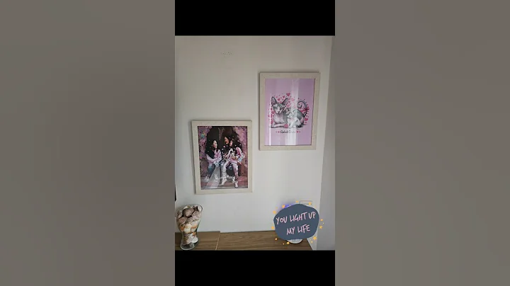 Watch the video about Your light up my life ✨️ #catlovers #siamese #sphynx #ternurainfinita #mysunshine #ordinary #gatos