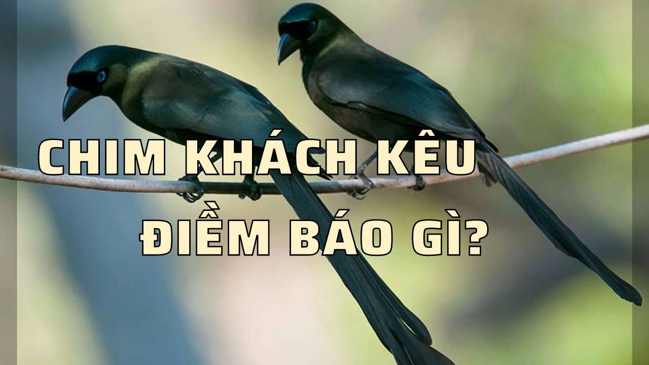  - HeartVod