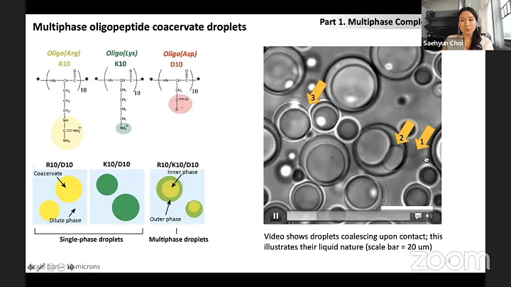 Coacervates in Prebiotic Chemistry - Saehyun Choi ...