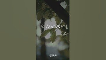 ما اتخذ الله من ولد وما كان معه من إله [ المؤمنون: 91 - 92 ] القارئ ادريس ابكر