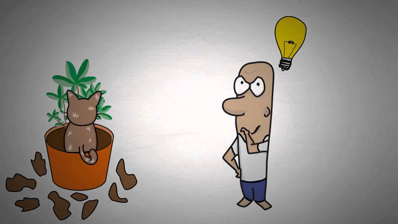 Inspiratie voor een plantenruil met vrienden - Plant Start