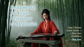 Tiếng Đàn Giữa Rừng Sương - Tâm Ann | Nhạc không lời thiền định, học tập, làm việc, quán chay