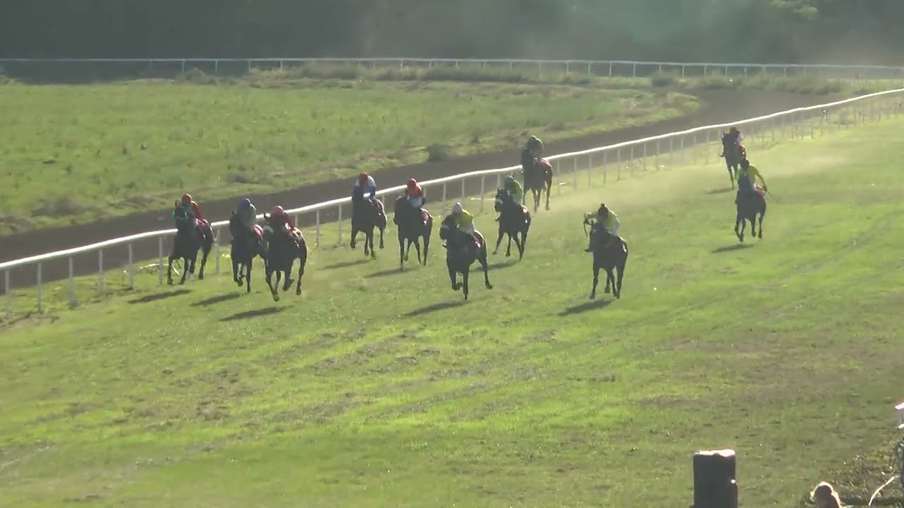 5 Trka ENZO   ( 22.09.2024.)